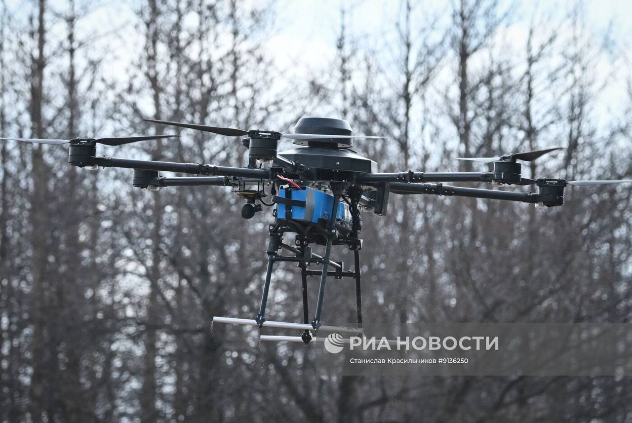 Изображение публикации 52f8cc2f-23ad-4f5f-9819-866cff28131f