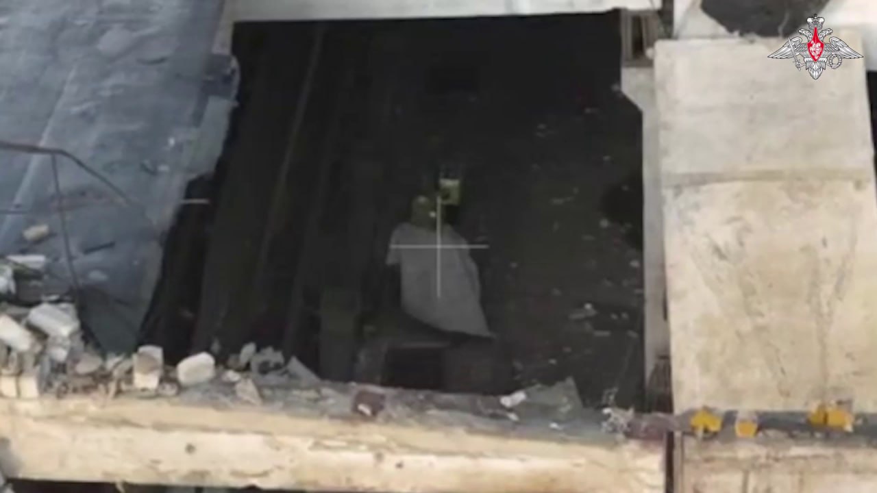 Изображение публикации 5541fb84-869d-417c-974c-67c7dbf7767f