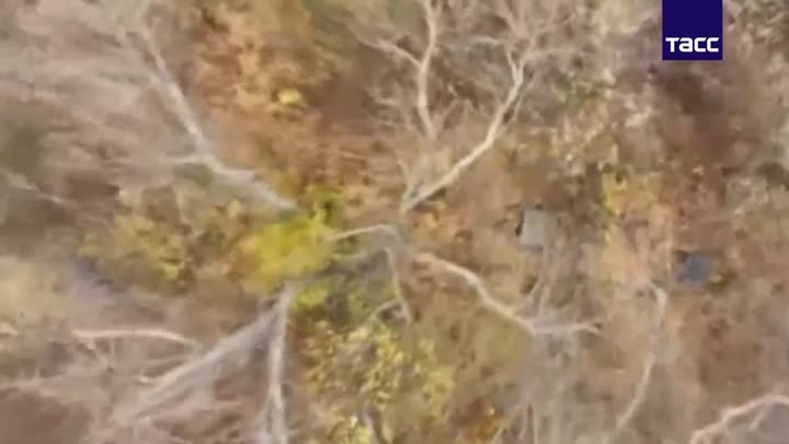 Превью видео