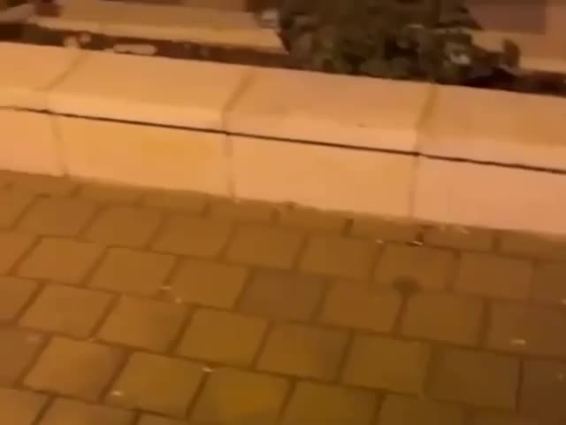 Превью видео
