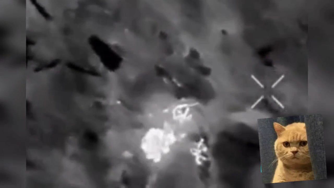 Изображение публикации 583fe70b-f635-4827-a4ec-f60cdc77c9bf