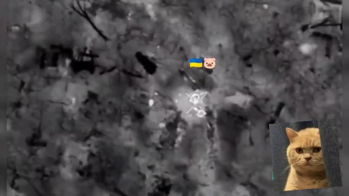 Превью видео