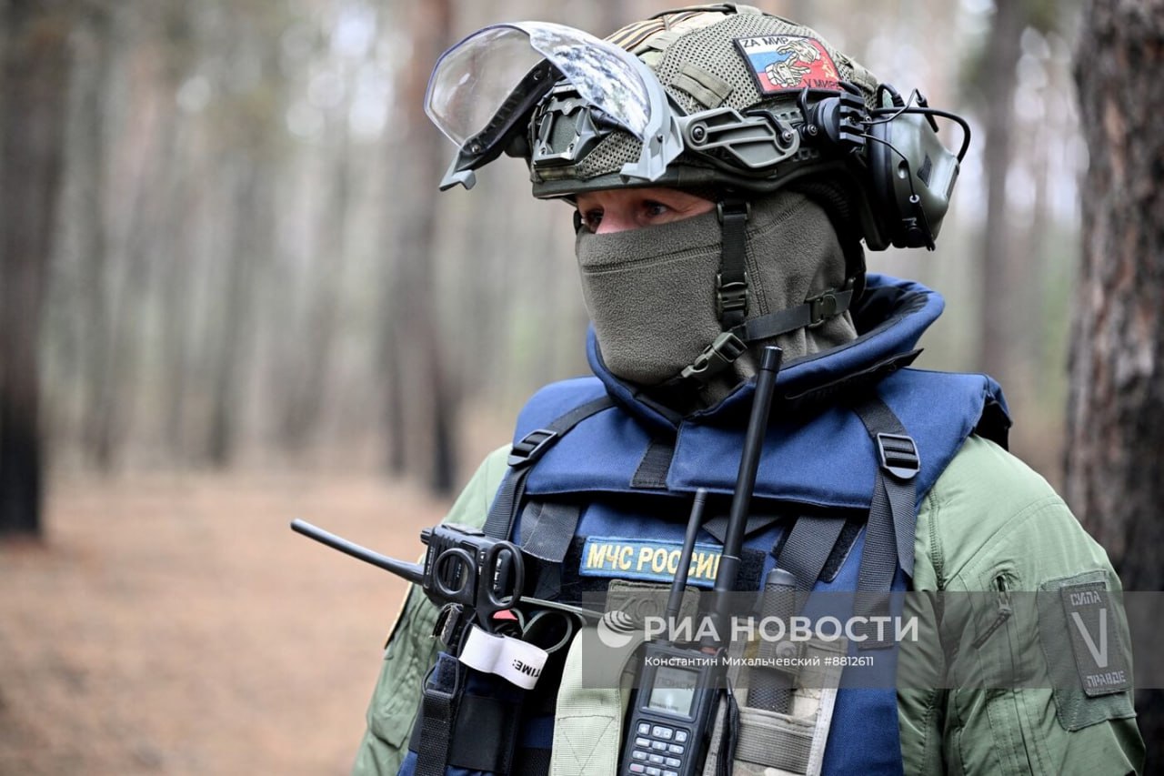 Изображение публикации 5883f28d-c534-4671-a6ff-facc6bd76a02