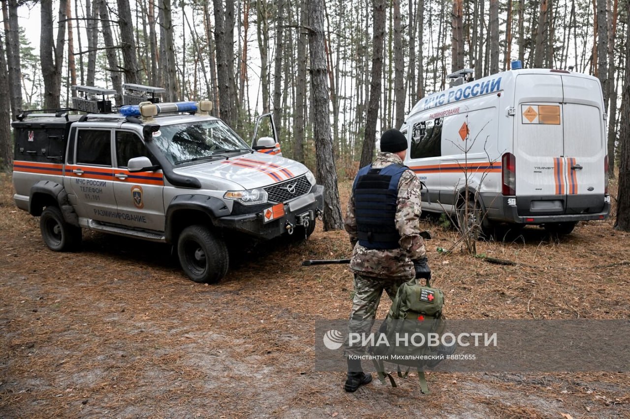 Изображение публикации 5883f28d-c534-4671-a6ff-facc6bd76a02