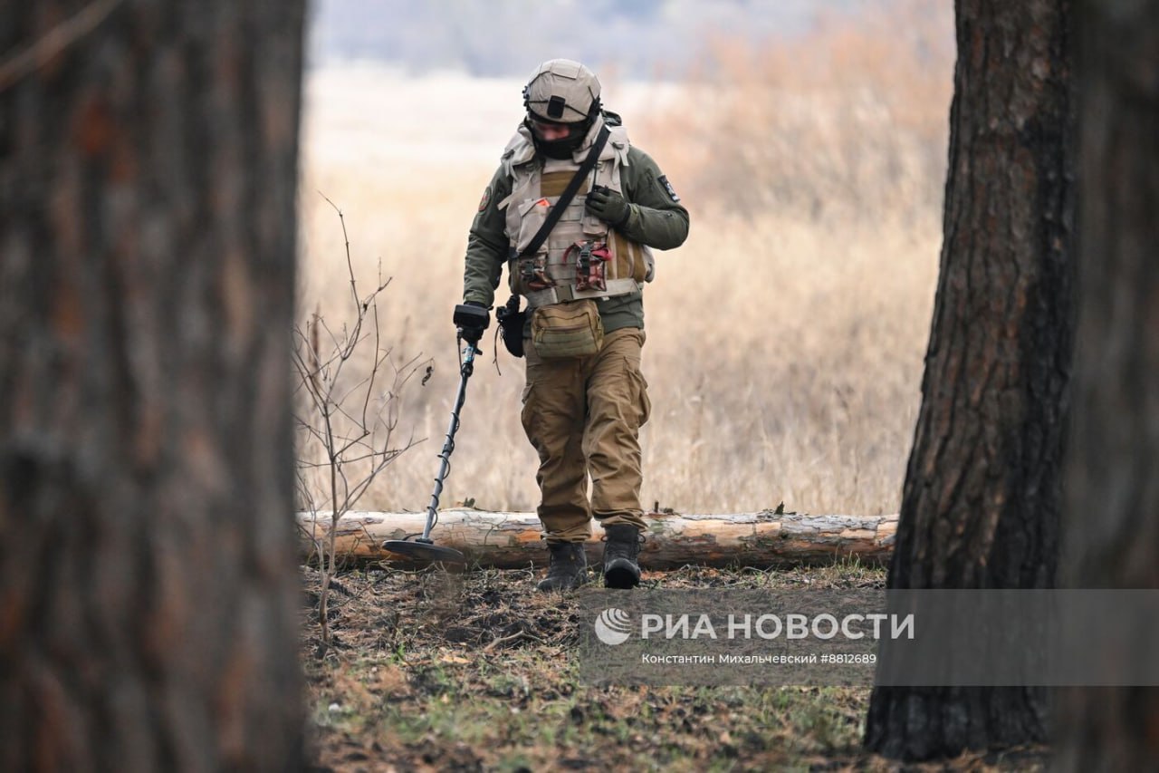 Изображение публикации 5883f28d-c534-4671-a6ff-facc6bd76a02