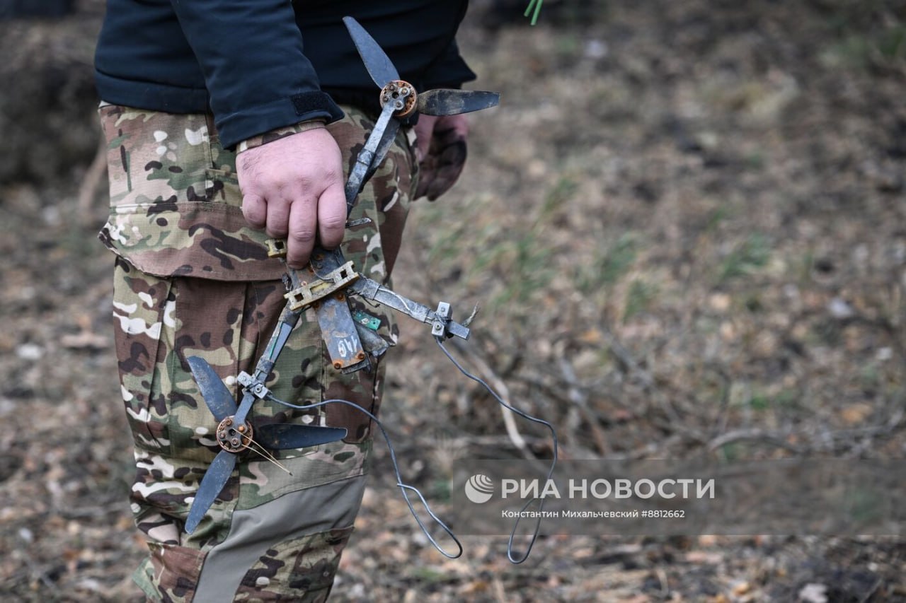 Изображение публикации 5883f28d-c534-4671-a6ff-facc6bd76a02