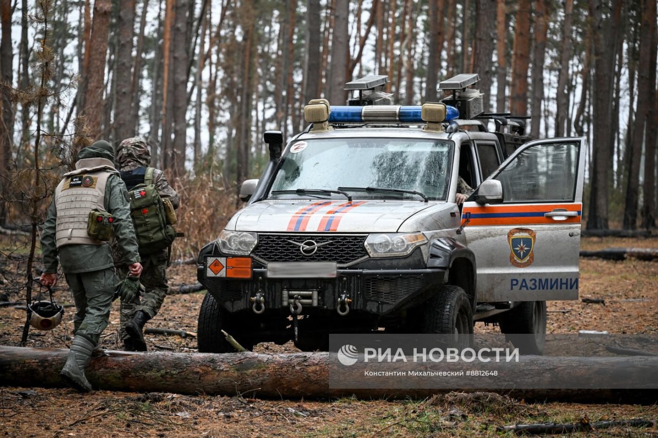 Изображение публикации 5883f28d-c534-4671-a6ff-facc6bd76a02
