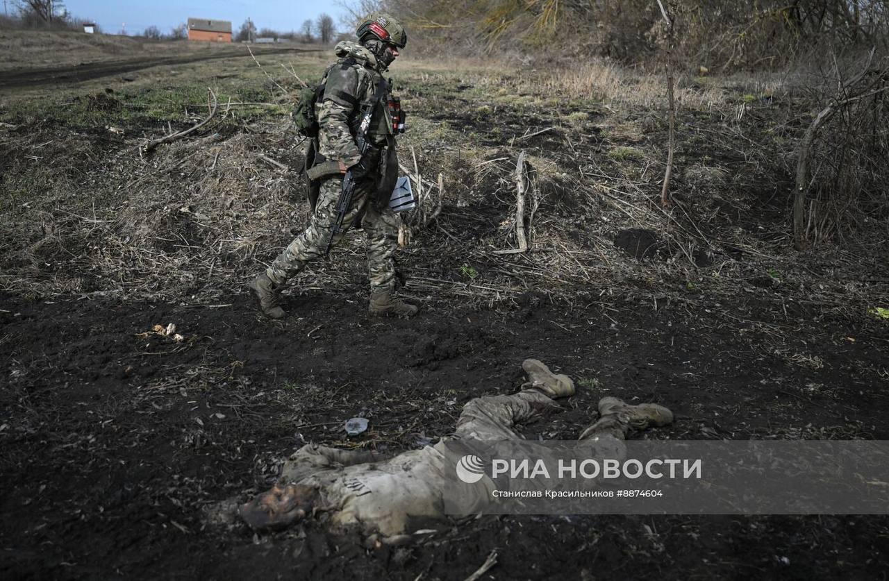 Изображение публикации 58f15f92-ba64-4171-8efc-9e8d9e32d10e