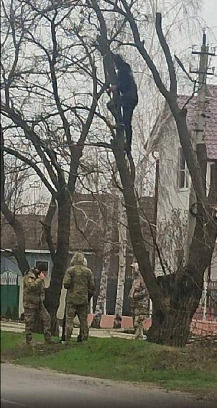 Изображение публикации 59027b8e-20d7-4151-8c44-c416d2e87c46
