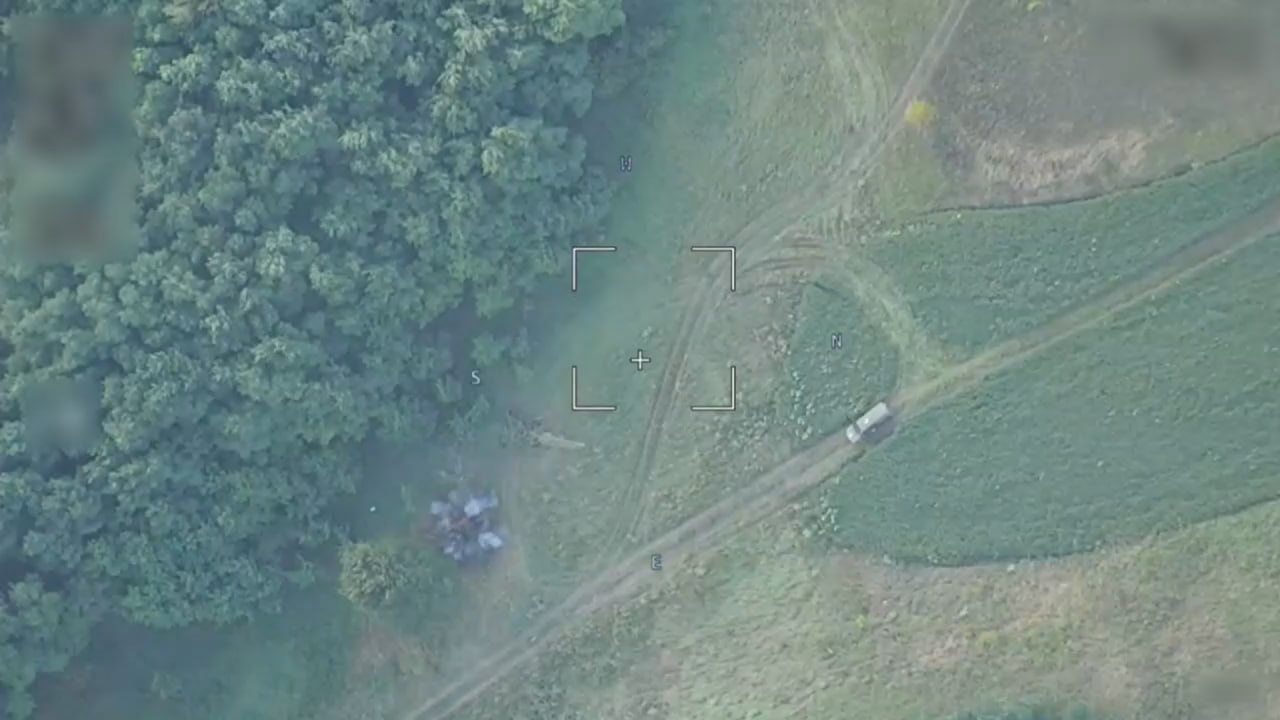Изображение публикации 5a02378e-c580-4044-b80b-bb46d9422de1