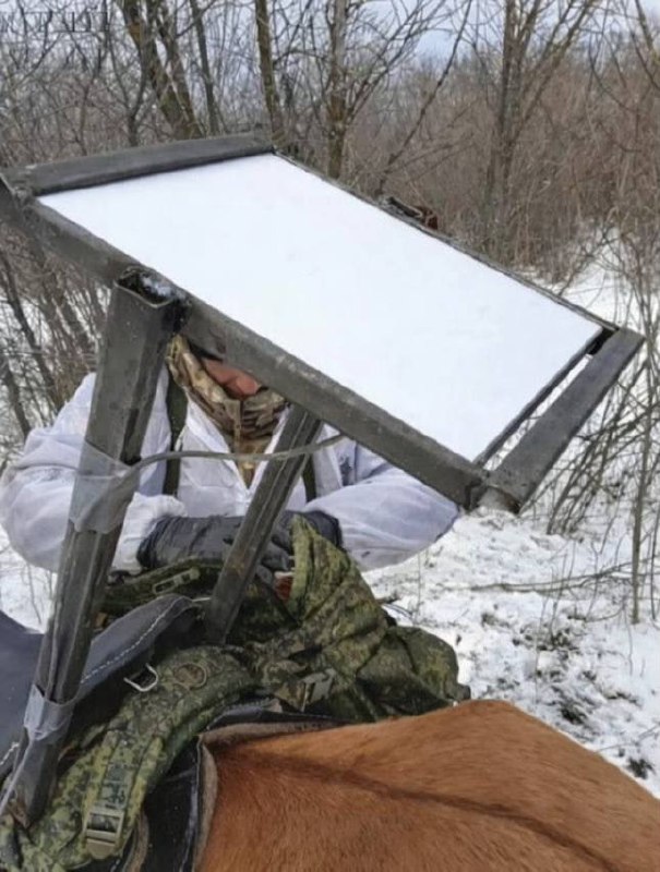 Изображение публикации 5a3d08f1-58c9-448e-83b8-6ee4debc9187