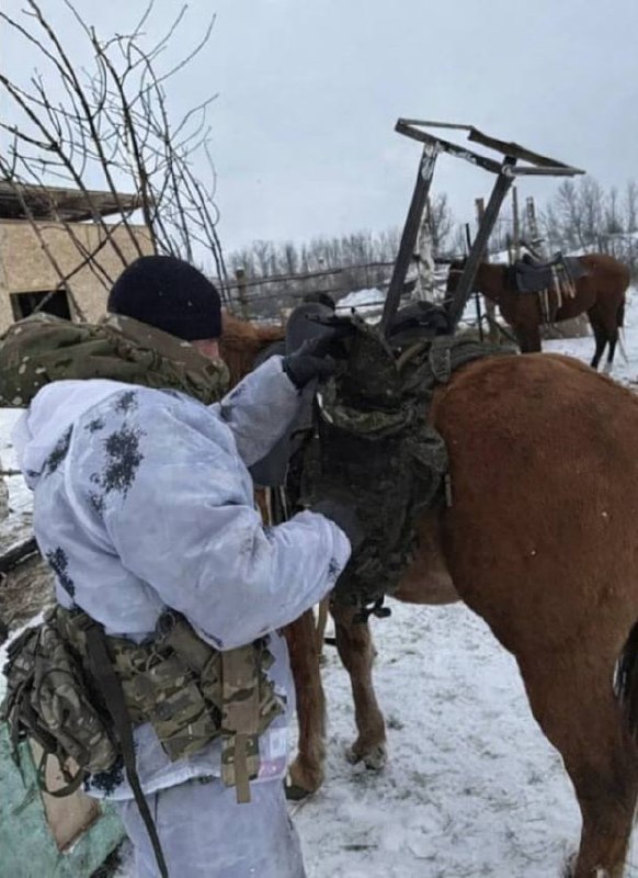 Изображение публикации 5a3d08f1-58c9-448e-83b8-6ee4debc9187