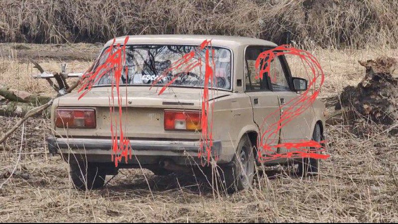 Изображение публикации 5c2b41df-3188-4341-a521-b6a0272f98d5