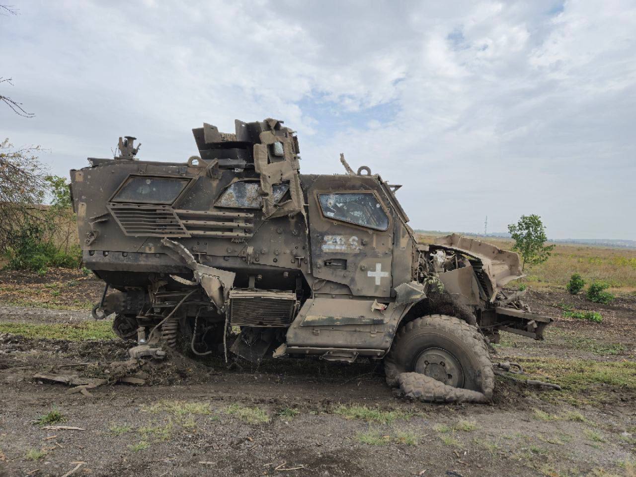Изображение публикации 5c394ed3-6d9a-42c0-a9a8-75717049cb10
