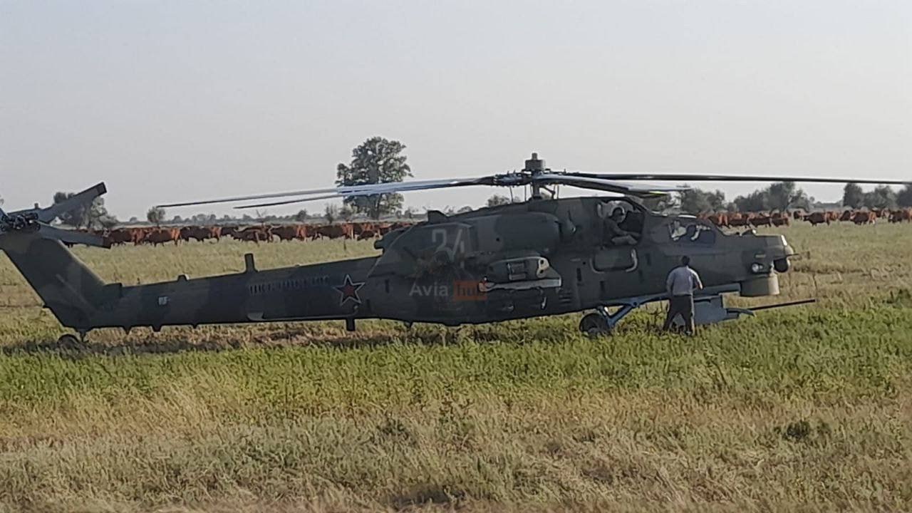 Изображение публикации 5ceed2e6-7a44-47d3-9a99-38eb75e0cafa