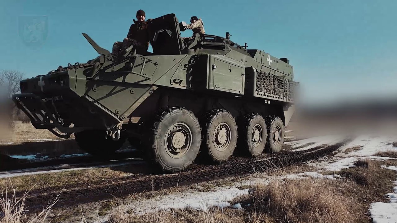 Изображение публикации 5d274170-f7e5-4b53-bb7b-29904b562788