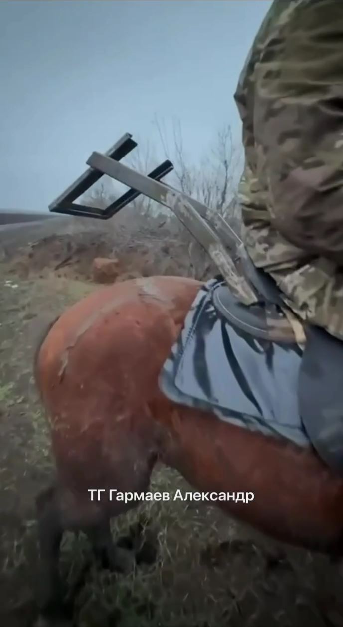 Изображение публикации 5eba180b-cf22-48b2-8bcd-8323c5773bd2