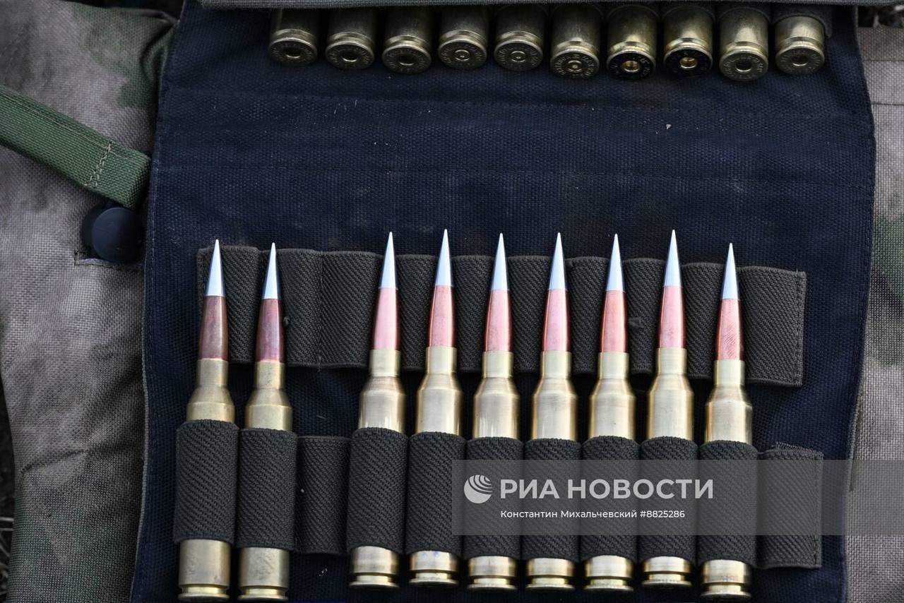 Изображение публикации 5fef2aa8-606b-47b5-89ca-0b76146e9af2