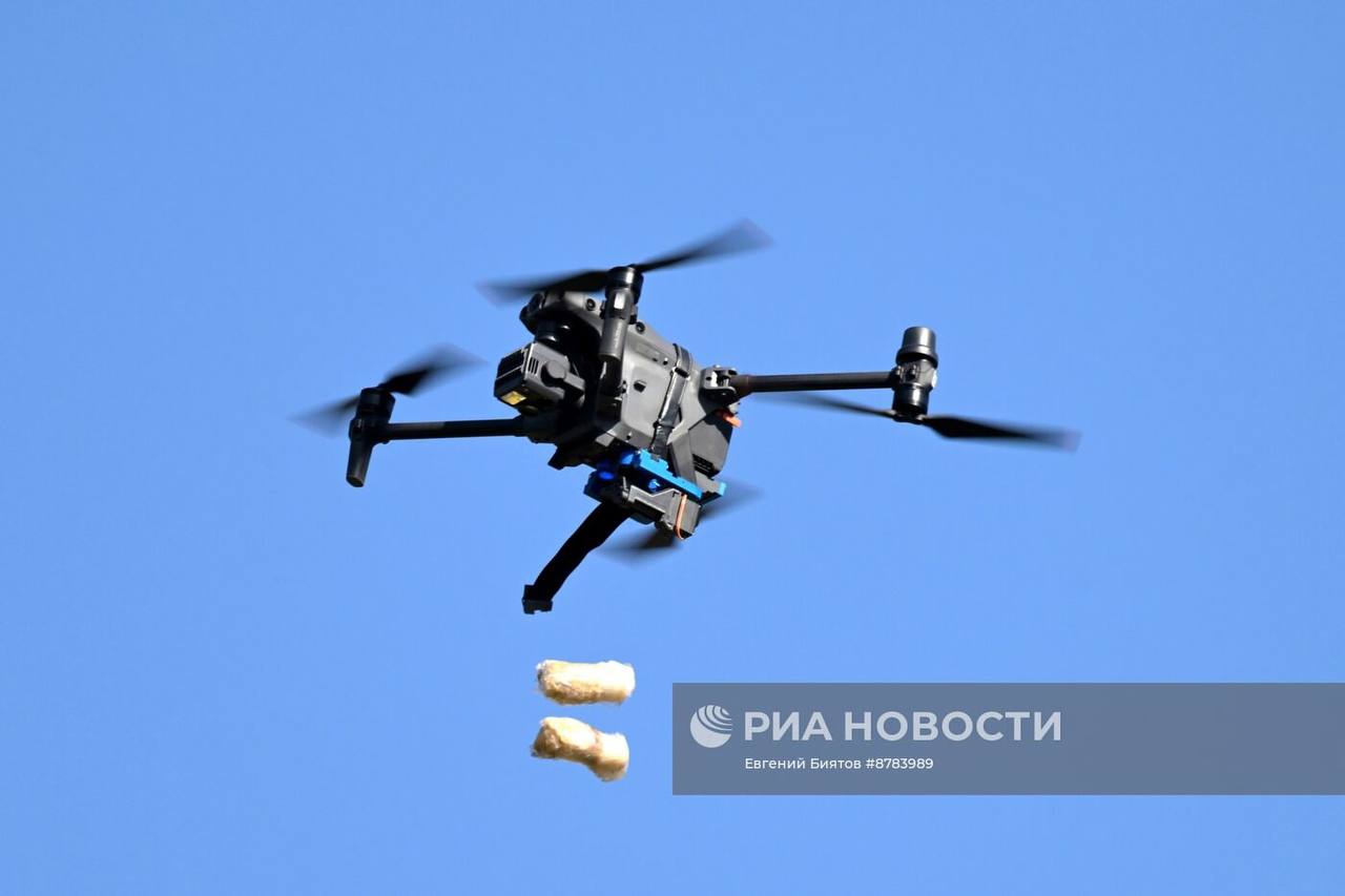 Изображение публикации 61453456-1be7-4b16-9cdd-a40bfe3a4922