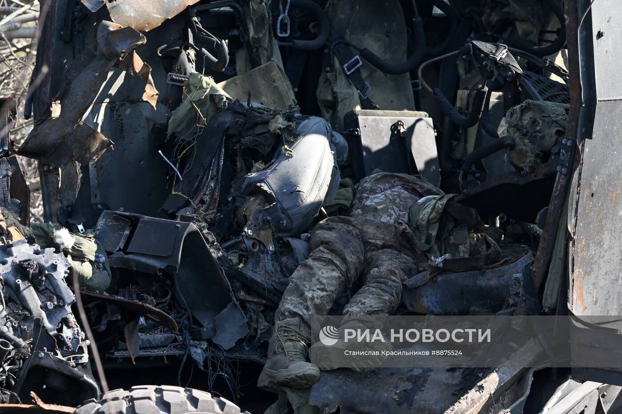 Изображение публикации 62cf1d6f-0b55-40b4-957e-68dc59f4b309