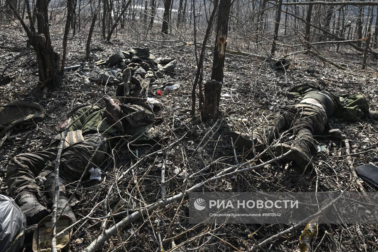 Изображение публикации 62cf1d6f-0b55-40b4-957e-68dc59f4b309
