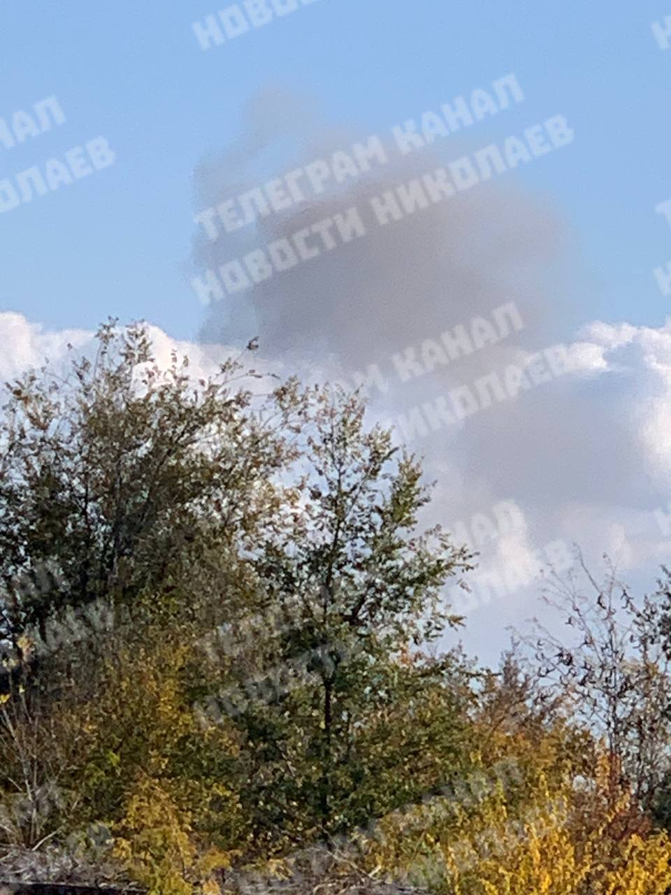 Изображение публикации 62d6b11e-4c37-40cd-b77d-e2a41cbe69f4