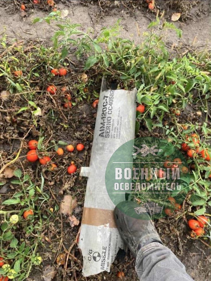 Изображение публикации 6349068a-8753-4135-ad9f-b1794c7f462f