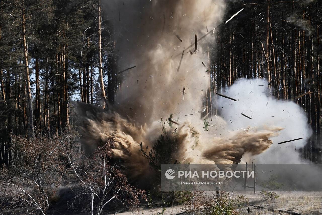 Изображение публикации 649b56bc-714b-4a5c-8f2c-659fed359fd4