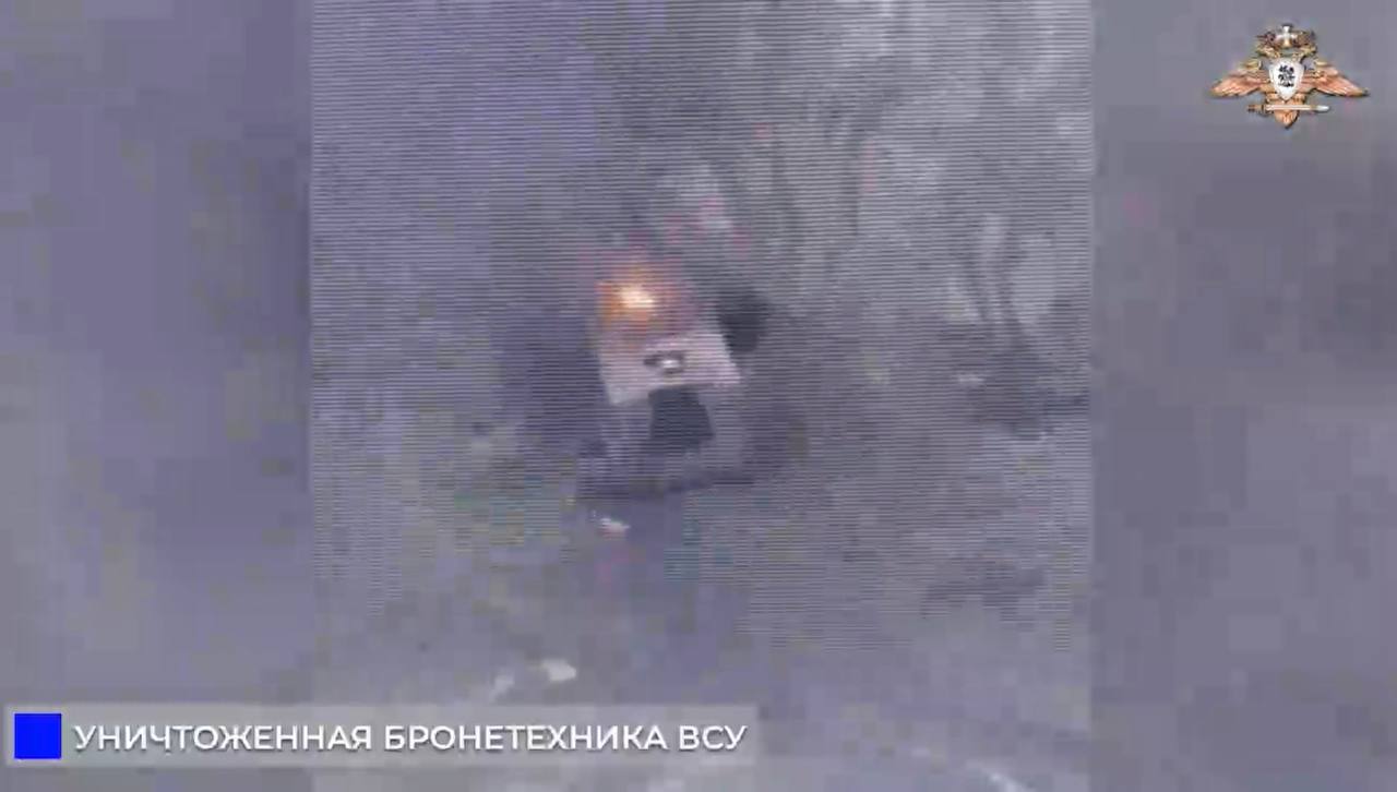 Изображение публикации 668df13c-c0ff-4311-833d-b73f418954f0