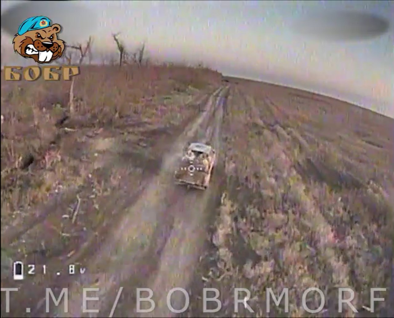Изображение публикации 6854bb8f-24c4-49ba-890b-d73973375985
