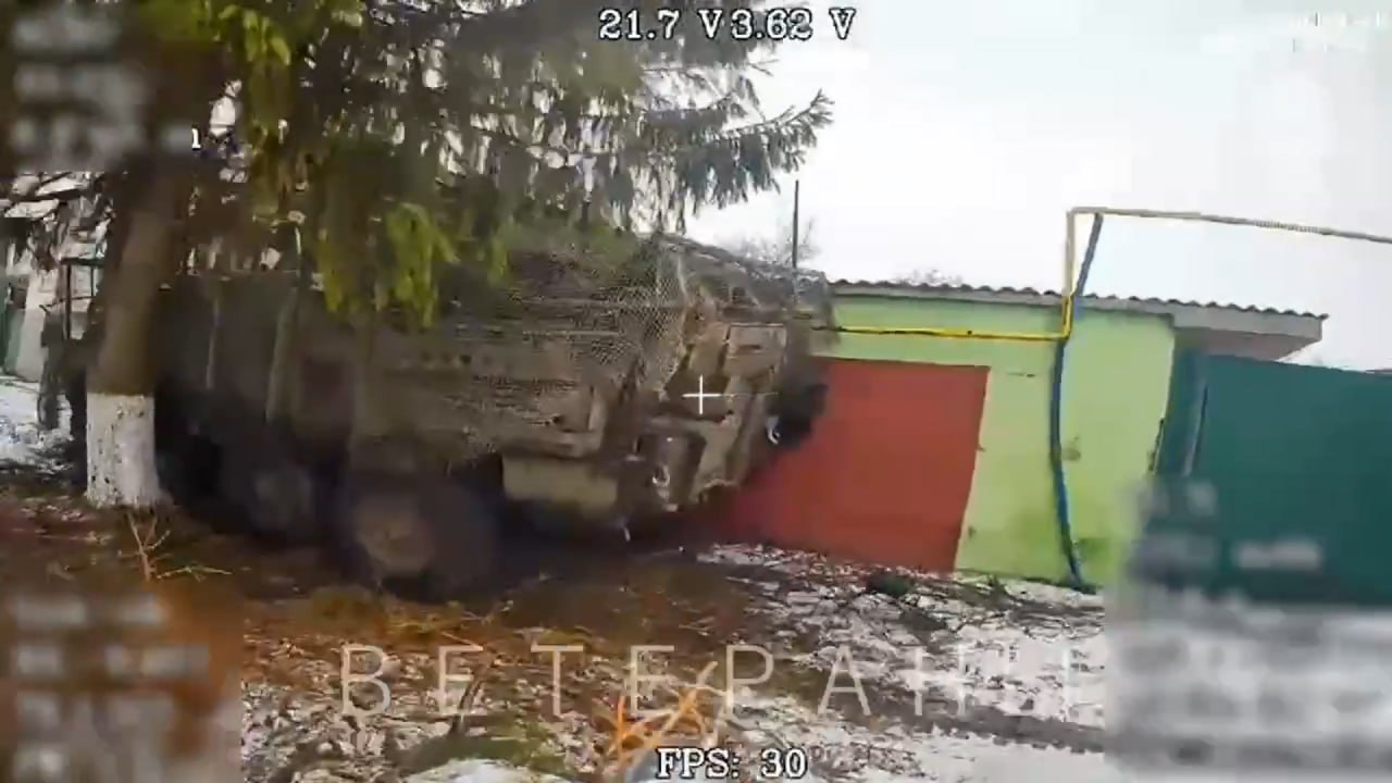 Изображение публикации 692bc4ce-7c46-47f5-af86-a9539092e02f