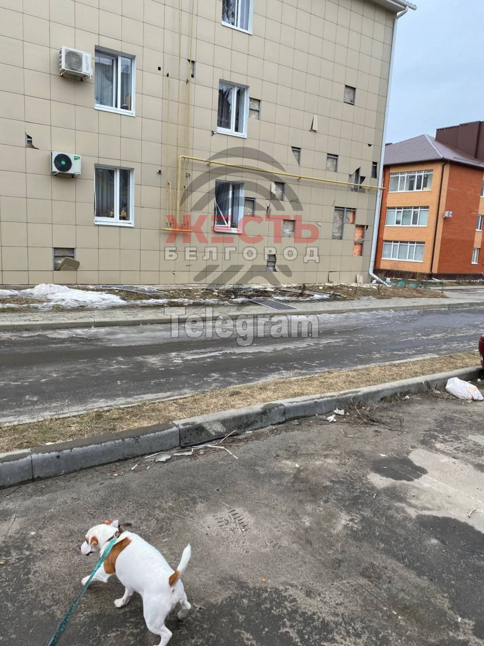 Изображение публикации 692ca03b-b3dd-4eda-a3b0-62cc6ad4a3ba