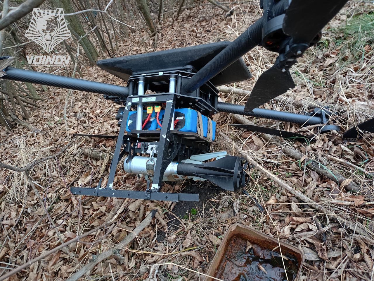 Изображение публикации 6a1cb841-9fe9-4902-93f2-417cf1810d79