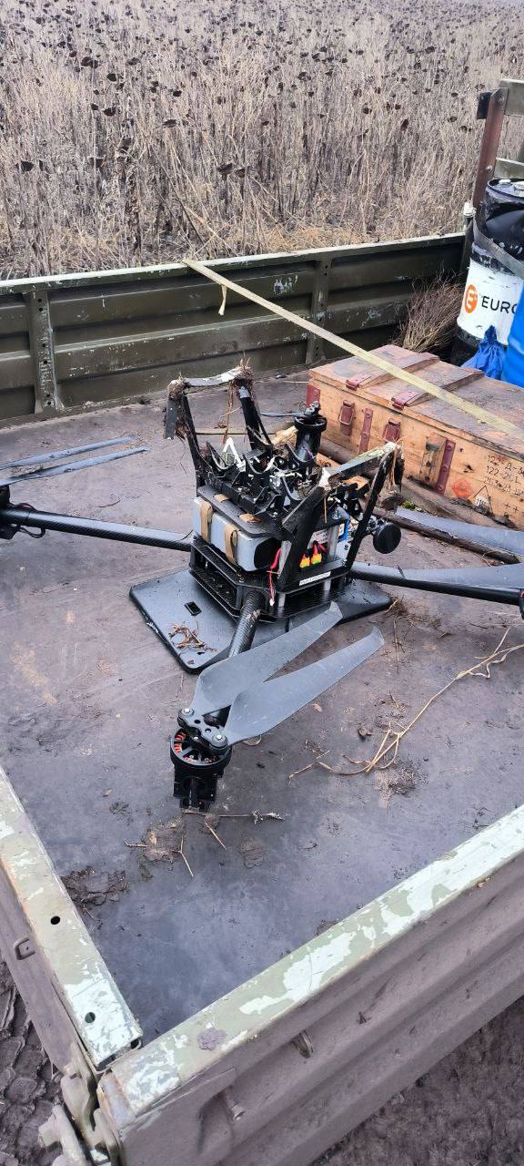 Изображение публикации 6a1cb841-9fe9-4902-93f2-417cf1810d79
