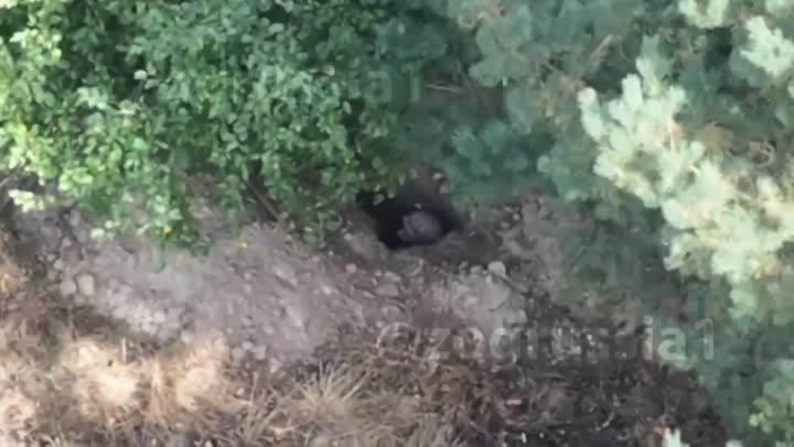 Превью видео