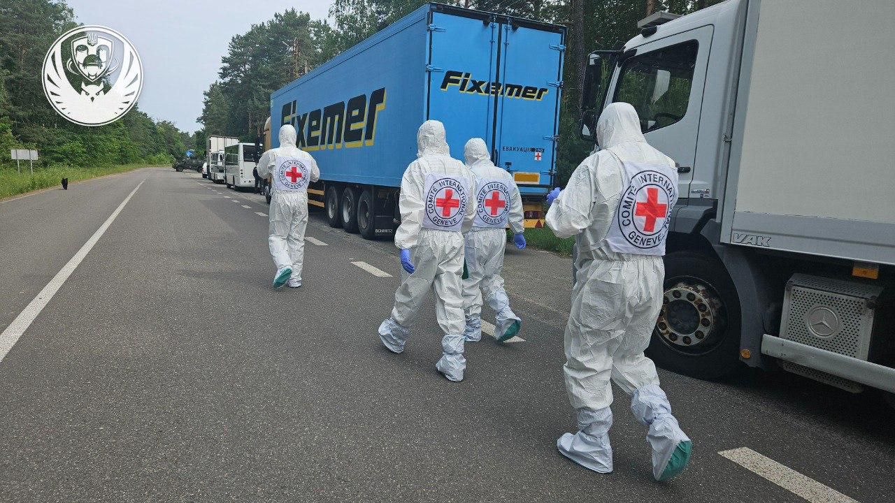 Изображение публикации 6b815c68-5649-44ee-aea9-50cfa1073529