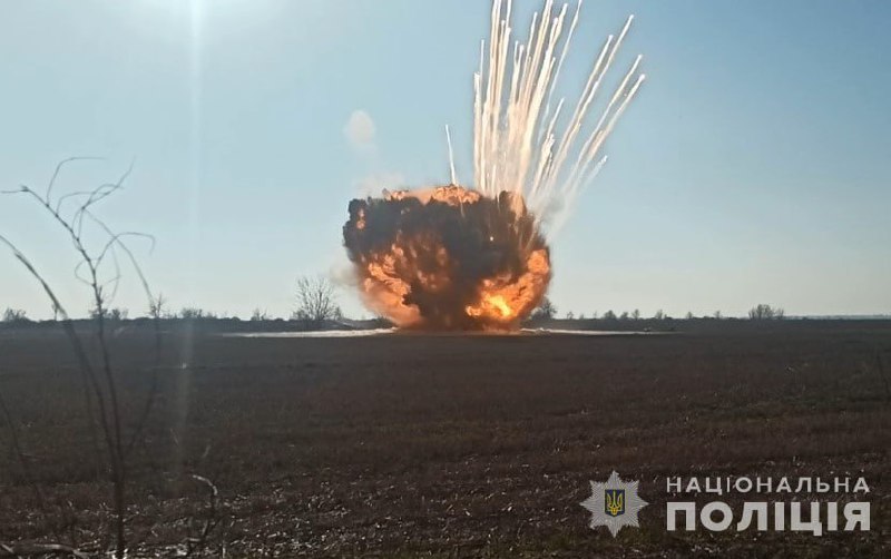 Изображение публикации 6b9797c7-18ee-49d3-a00b-a089daff0a9c