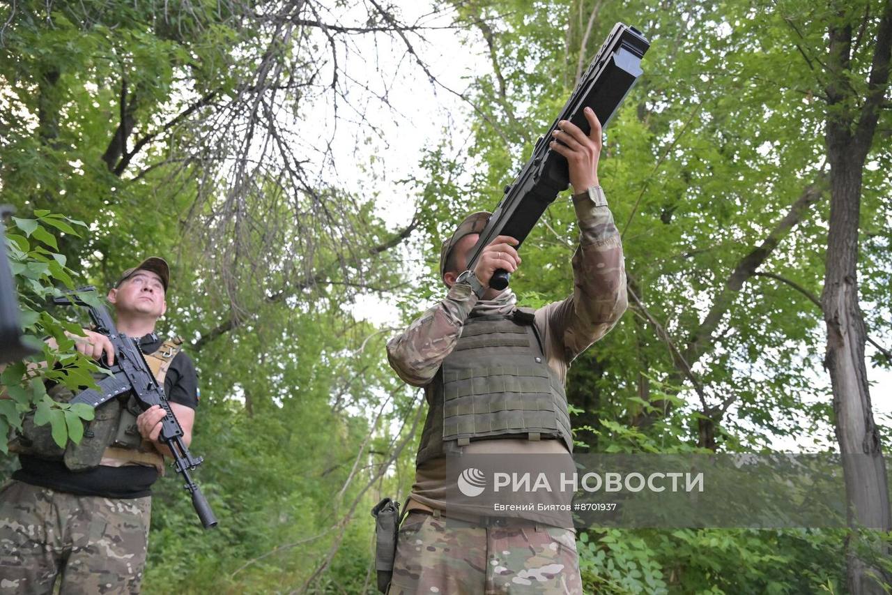 Изображение публикации 6bf34f73-5db1-474e-a497-a1f49a51e054