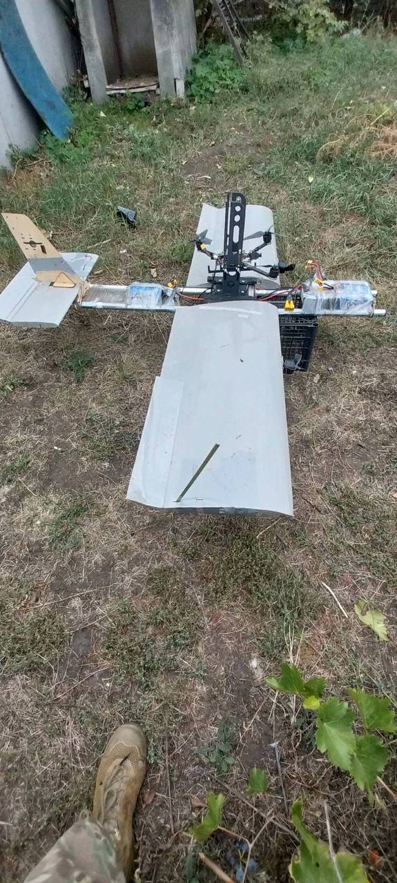 Изображение публикации 6c480ee0-19fa-423d-a1e8-216ddc608a9b