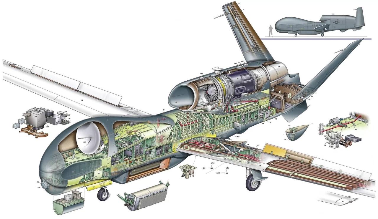 Изображение публикации 6d1231cf-c256-4585-80d2-0a7a6643063d