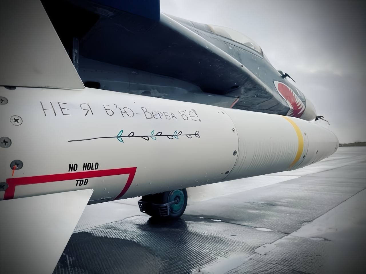 Изображение публикации 6f97dbf4-e1a9-4bc3-a9c0-42c327c58310
