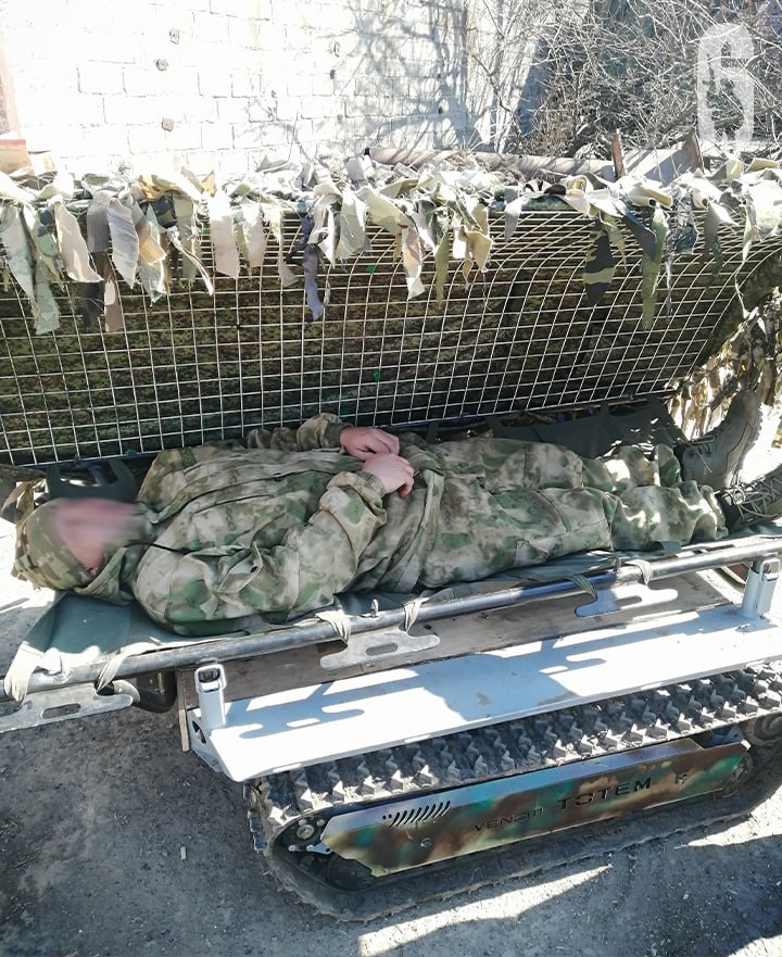 Изображение публикации 70db2d0f-a8fd-4c26-b0d3-ed32b433d31a