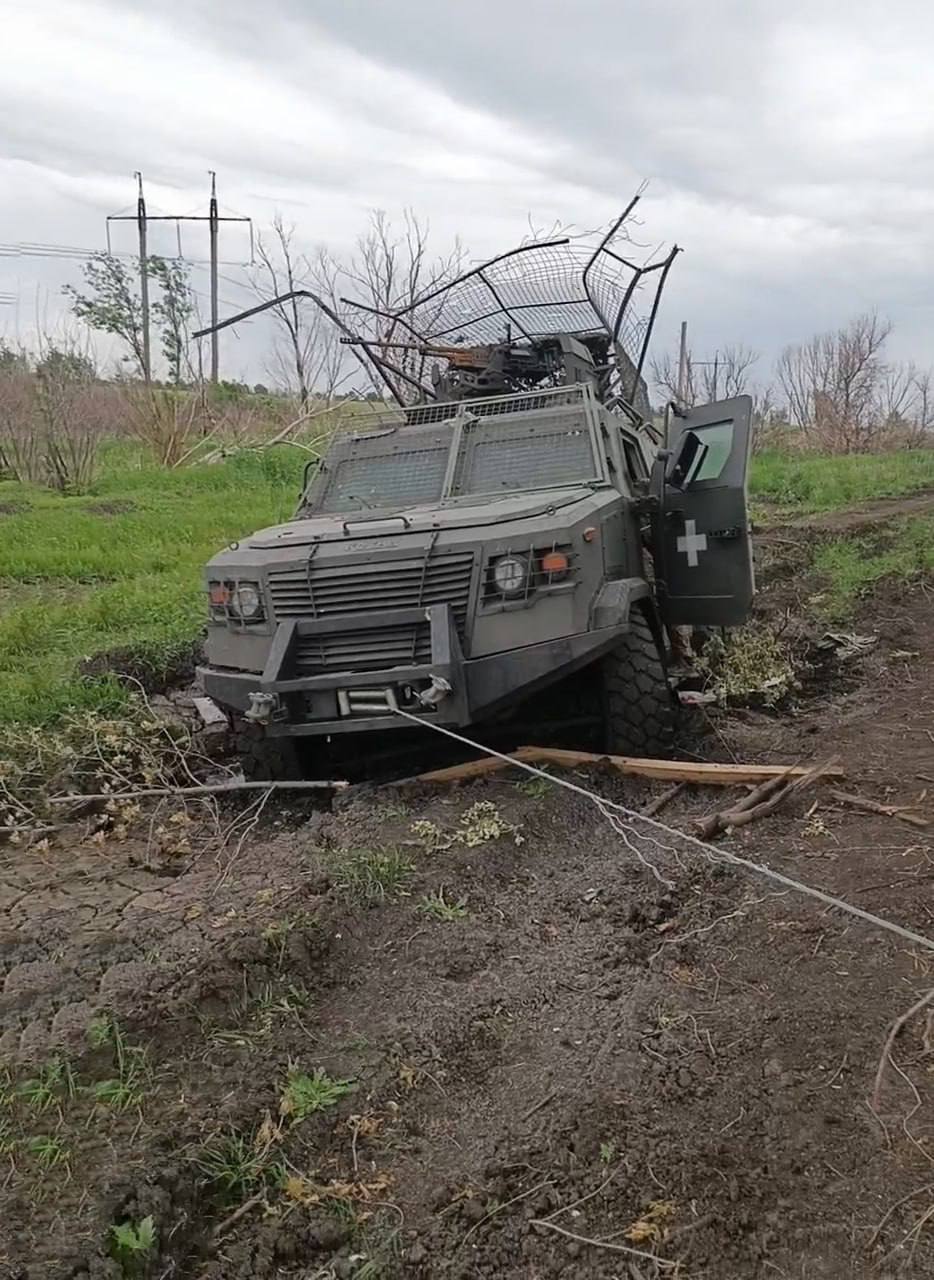 Изображение публикации 71600748-473d-43d1-a3e7-156a23ff356c