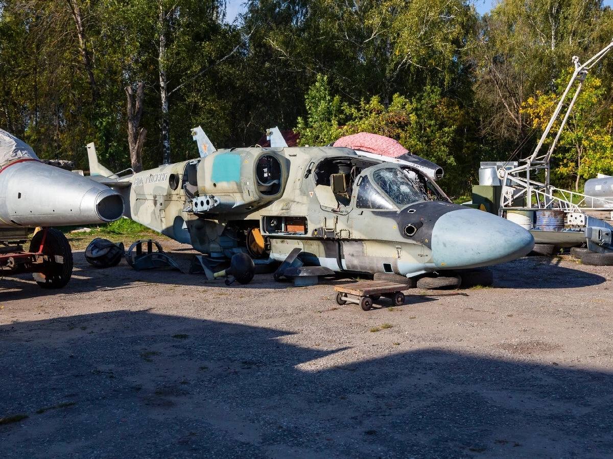 Изображение публикации 71b90054-fe6c-4985-b86b-dc27a72f87e5