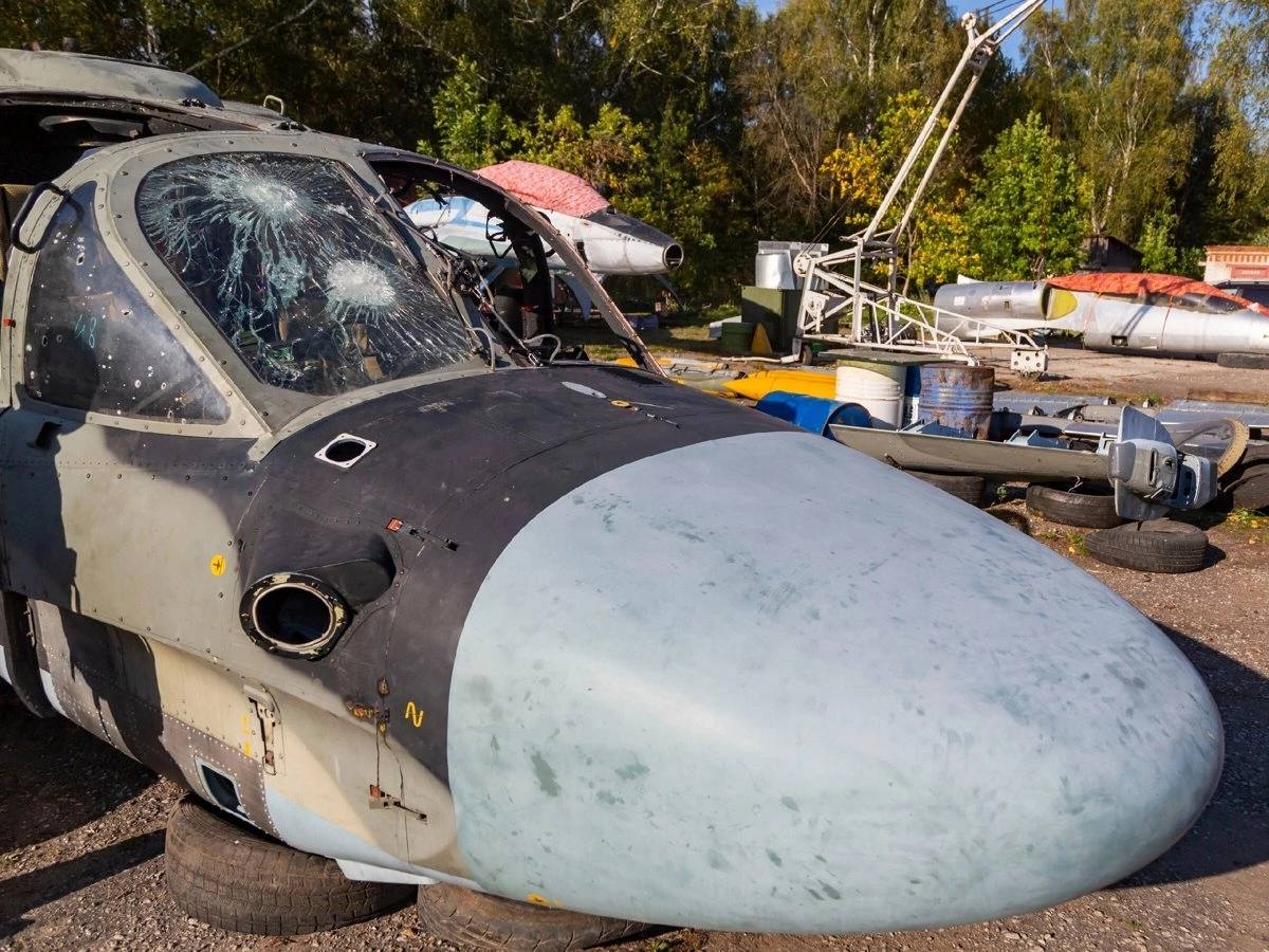 Изображение публикации 71b90054-fe6c-4985-b86b-dc27a72f87e5
