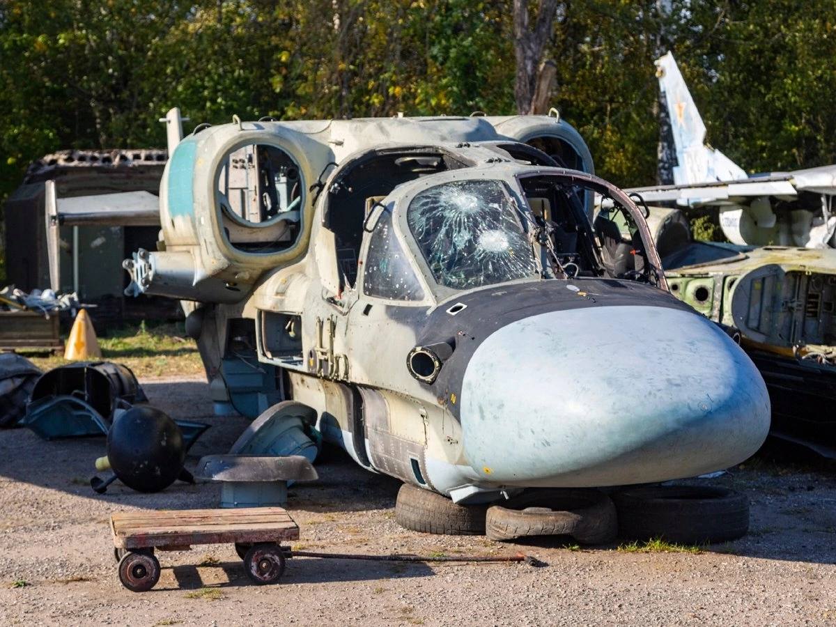 Изображение публикации 71b90054-fe6c-4985-b86b-dc27a72f87e5