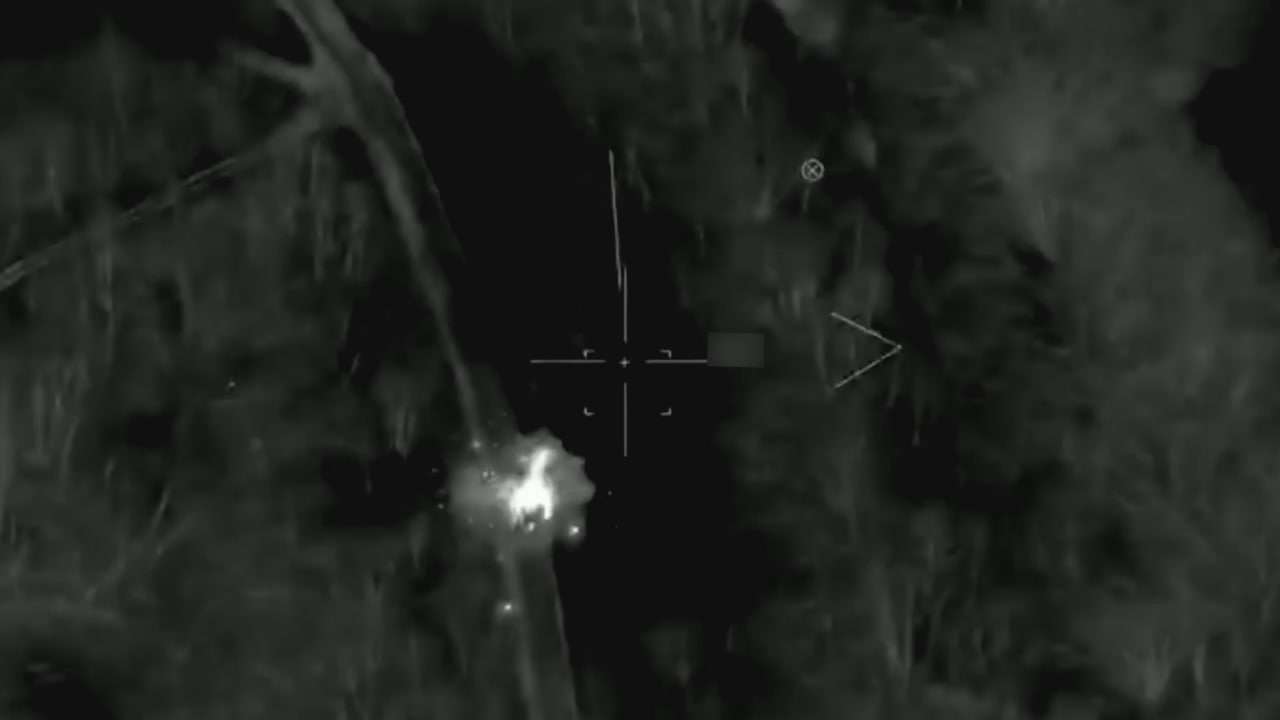 Изображение публикации 71ed9856-bcc8-4a06-b621-da9dde75778c