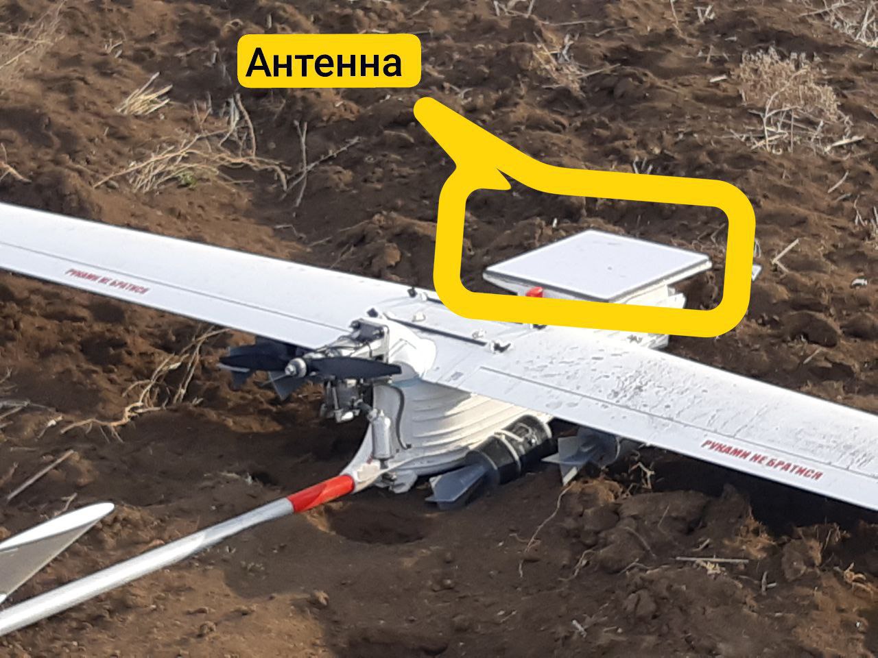 Изображение публикации 725a94cc-139f-4bbc-a21e-64588063d045