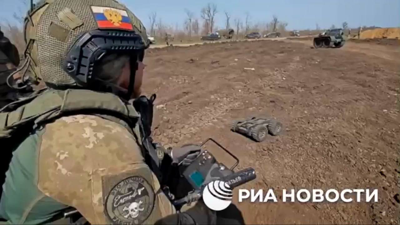 Изображение публикации 72e96eea-c9f8-4f53-aa83-afa181738f79