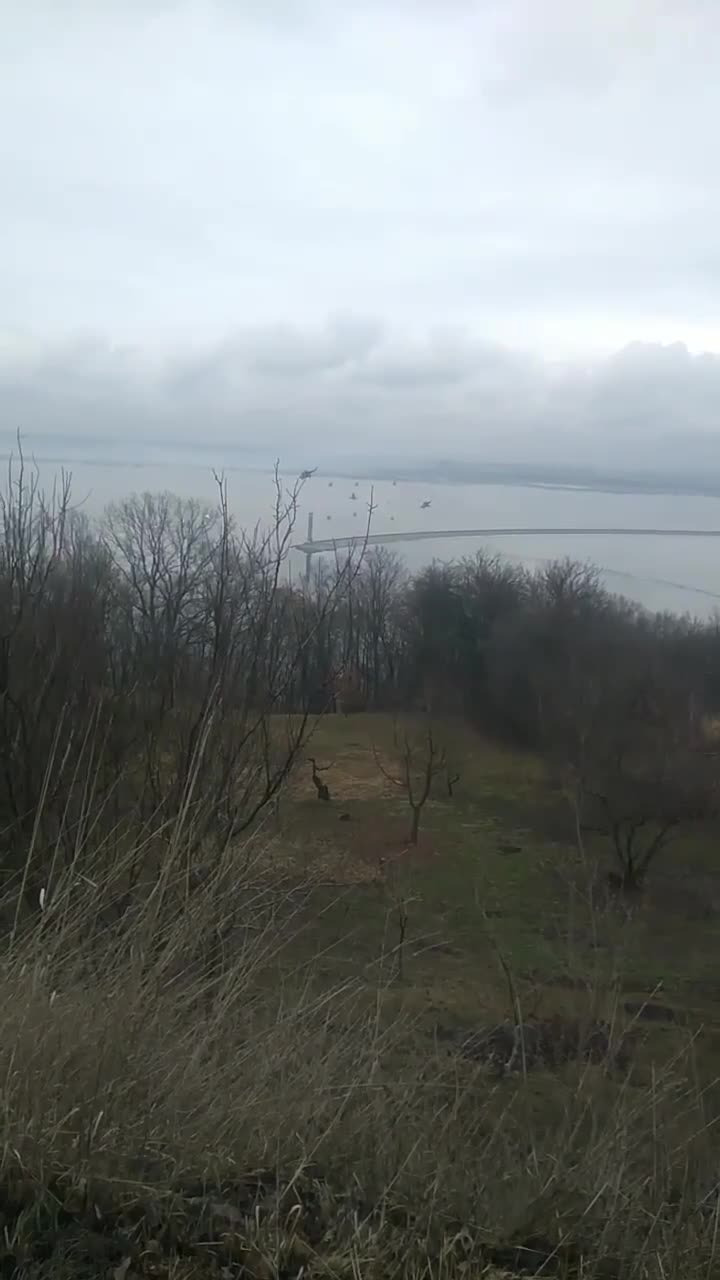 Превью видео